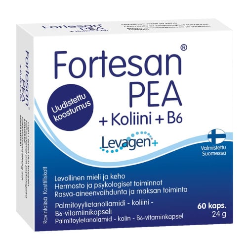 Fortesan Витаминный комплекс PEA + Холин + Б6 60 капс