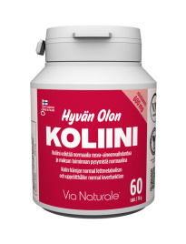 VN Hyv&#228;n Olon &#1061;&#1086;&#1083;&#1080;&#1085; 600 &#1084;&#1075;, 60 &#1090;&#1072;&#1073;&#1083;&#1077;&#1090;&#1086;&#1082;&#160;
