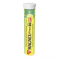 Magnex Sitruuna Pore 375mg 20tabl